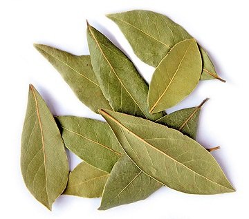 Як боротися з домашніми мурахами   інструкція від А до Я