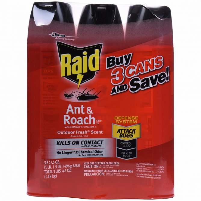 Ефективний засіб від тарганів — вибираємо найкраще