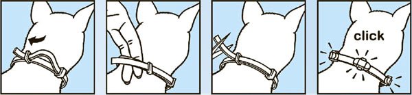 Нашийник Килтикс від бліх: вибір, склад та інструкція по застосуванню Нашийник Килтикс від бліх: вибір, склад та інструкція по застосуванню