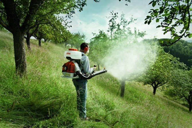 Знищення кліщів на ділянці: методи боротьби