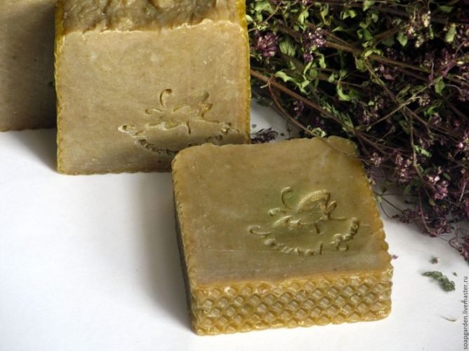 Чим обробити розсаду перців від попелиці