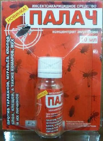 Клопів немає: ефективний засіб Кат