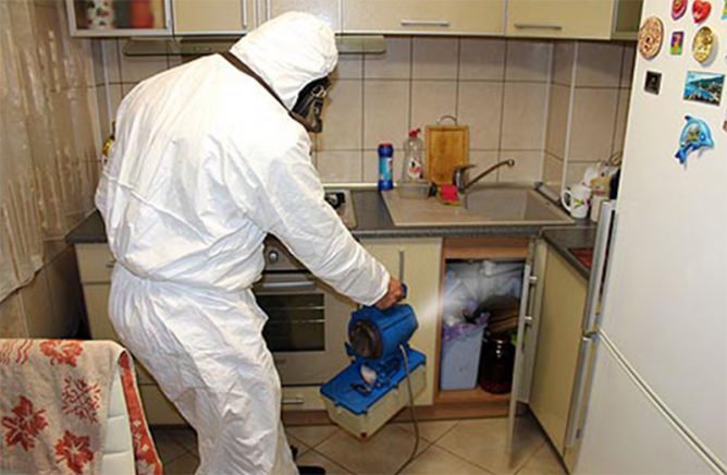 Як знищити тарганів у квартирі назавжди