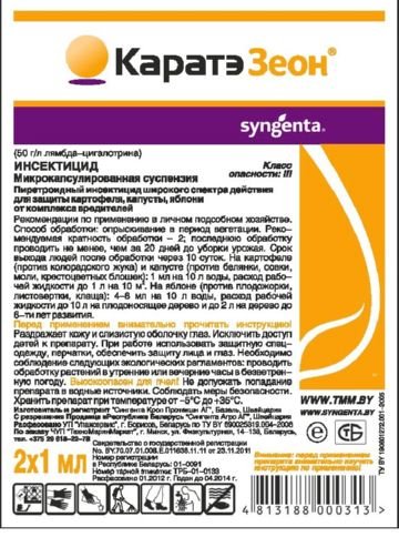 Вишнева муха: найбільш ефективні методи боротьби