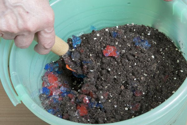 Вирощування петунії на балконі: тонкощі посадки та рекомендації по догляду