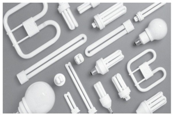 Як і чим підсвічувати розсаду петунії: види освітлювальних ламп та короткий огляд їх характеристик