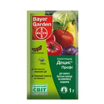 Березовий заболонник: небезпека та заходи боротьби