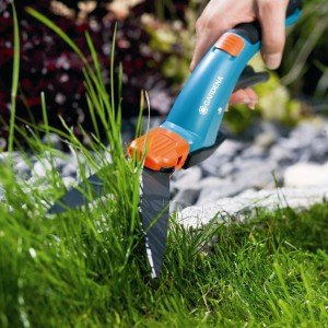 Як відновити і відремонтувати пошкоджений газон: можливі варіанти