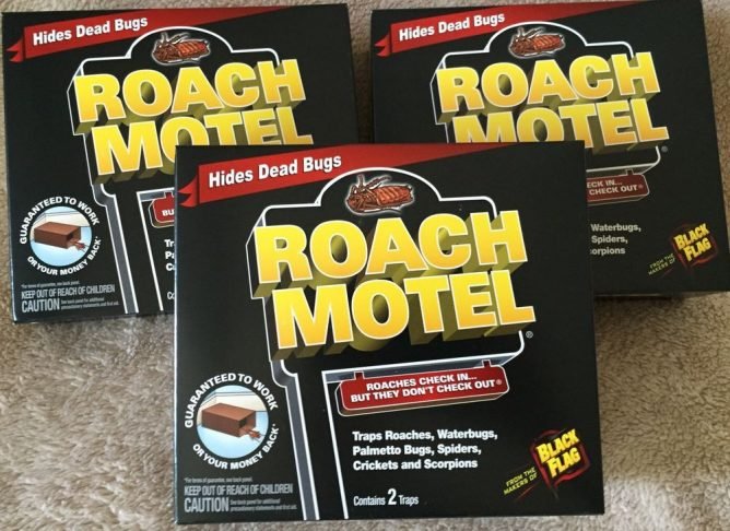 Ефективний засіб від тарганів — вибираємо найкраще