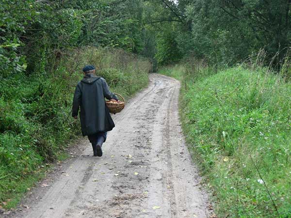 Лосина муха як боротися і засоби