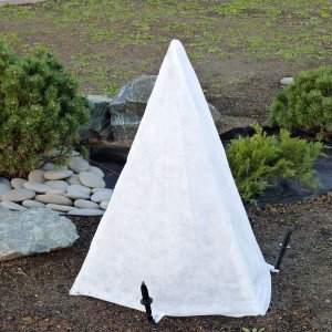 Підготовка саду до зими: вкриваємо рослини та догляд за газоном