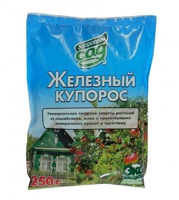 Догляд за рослинами. Навіщо обробляти рослини сечовиною та мідним купоросом? Види проблем і способи боротьби з ними
