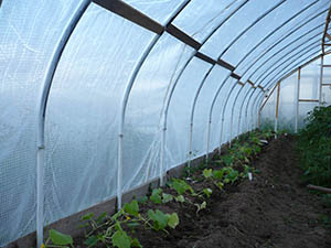 Як зробити теплицю з пластикових труб своїми руками: матеріали, зборка каркаса, фото і відео інструкція