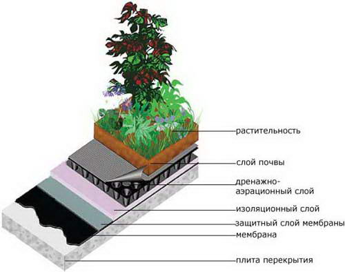 Сучасний одноповерховий будинок із плоским дахом своїми руками — покрокове відео, фото