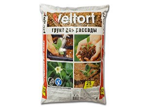 Грунт для вирощування розсади петунії: склад, кислотність і рекомендації по приготуванню своїми руками