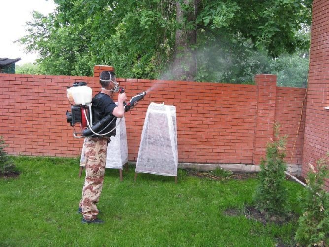 Обробка ділянки від комарів