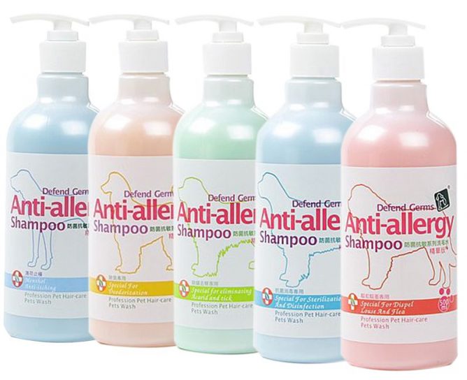 Засіб від кліщів для собак: таблетки, краплі або ошейнки?