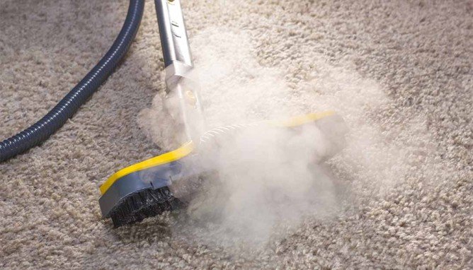 Список народних засобів для боротьби з домашніми клопами