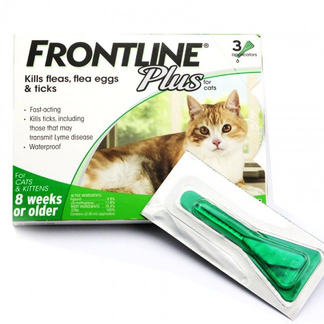 Краплі від бліх: які правильно вибрати для кішки?