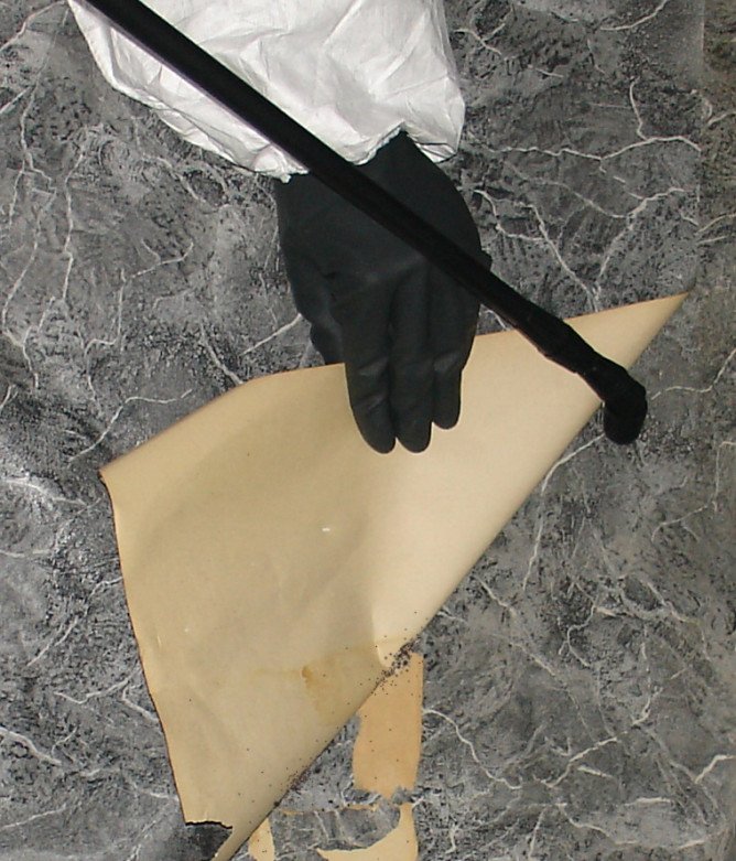 Самостійна боротьба з клопами в домашніх умовах