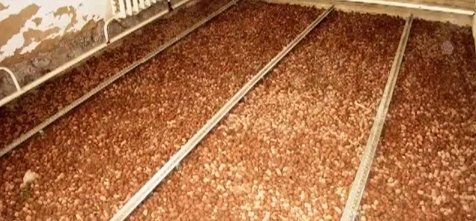 Як утеплити цегляну лазню зсередини: вибір матеріалу. Теплоізоляція підлоги, стін і стелі Як утеплити цегляну лазню зсередини: вибір матеріалу. Теплоізоляція підлоги, стін і стелі