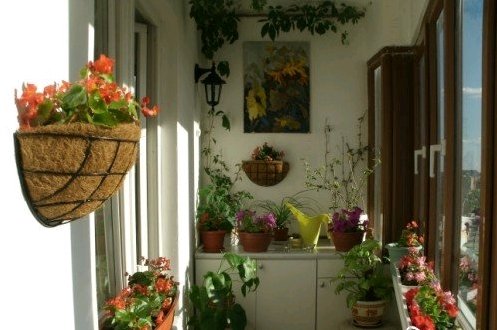 Як облаштувати маленький балкон: варіанти оздоблення