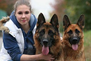 Виховання цуценя німецької вівчарки в домашніх умовах