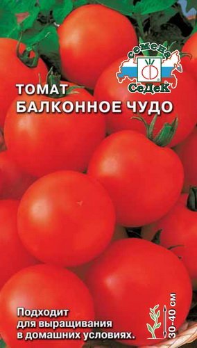 Помідори на балконі: оригінальне озеленення