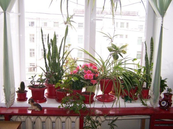 Якою повинна бути висота підвіконня від підлоги Якою повинна бути висота підвіконня від підлоги