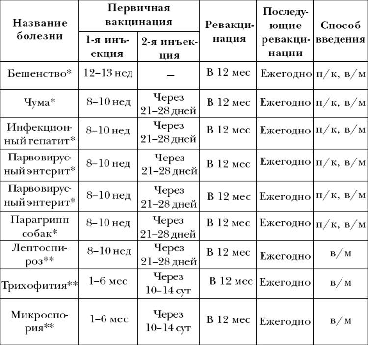 Щеплення собакам за віком: графік і таблиця