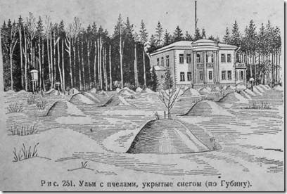 Як утеплити бджіл на зиму: утеплення вуликів і будівництво омшаника