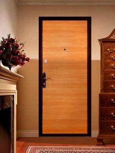 Утеплення металевих дверей: вибір утеплювача, варіанти теплоізоляції, роботи з коробкою