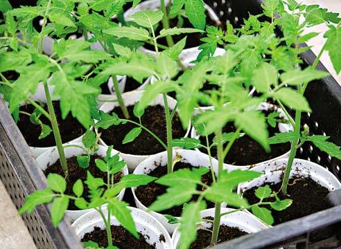 Город на лоджії: облаштування своїми руками