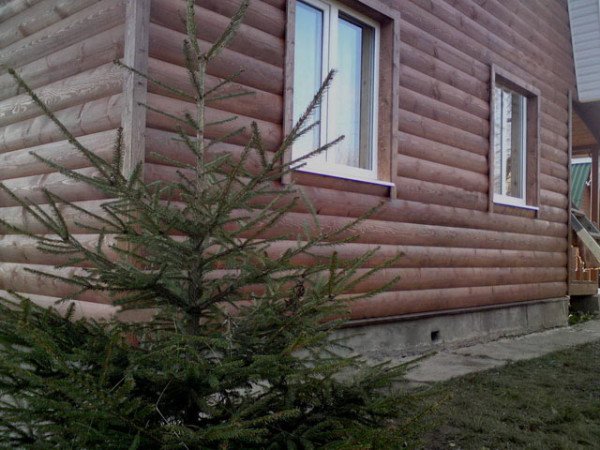 Блок хаус під брус – надійно і практично