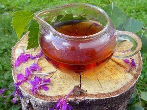 Користь і шкода іван чаю для чоловіків: лікування простатиту і рецепти відварів