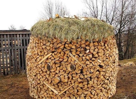 Дровниця своїми руками: проекти для каміна і вулиці на дачі Дровниця своїми руками: проекти для каміна і вулиці на дачі