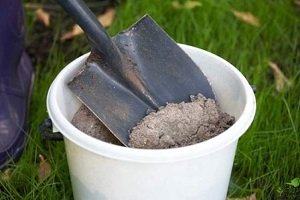 Вирощування лілій на ділянці: особливості вибору, посадки та догляду за рослинами