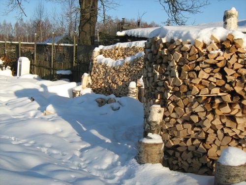 Як заготовити дрова на зиму: як рубати, сушити і зберігати
