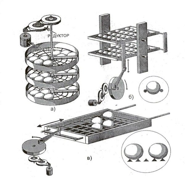 Автоматичний інкубатор для яєць своїми руками: схеми і креслення, покрокова відео інструкція