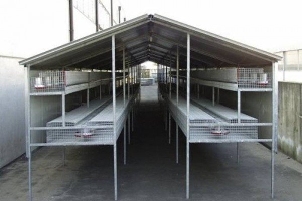 Основні аспекти промислового розведення кролів: концепція бізнесу і умови утримання