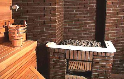 Відгуки про вибір газових печей для лазні