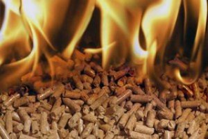 Огляд пелетних котлів закордонного виробництва: Grandeg, Ферроли, Metal Fach та інші відомі марки