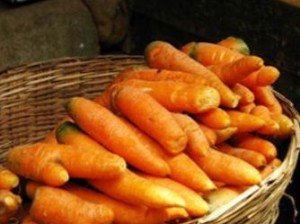 Сорти моркви для зимового зберігання: температура, термін і можливі способи