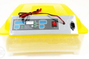 Автоматичний інкубатор для яєць: види, будова, технічні характеристики