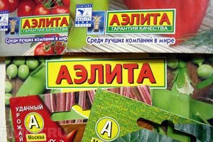 Агрофірма Аеліта — один з гігантів на ринку насіння і садивного матеріалу