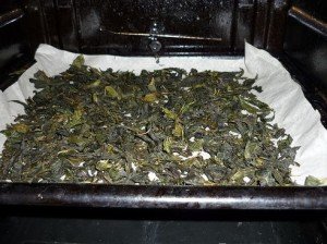 Іван (кипрей) чай: збір і сушка в домашніх умовах