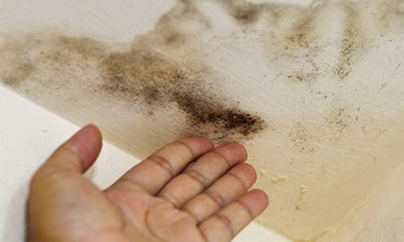 Фінішна шпаклівка стелі під фарбування: яка краще, технологія робіт