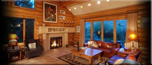 Закриті каміни з водяною сорочкою для будинку