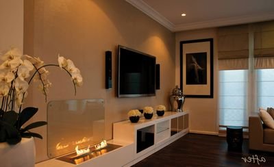 Біокаміни для квартири на біопаливі без димоходу: що це таке, фото, відгуки