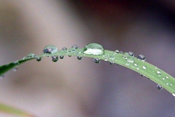 Розрахунок точки роси в стіні, визначення точки роси в будівництві Розрахунок точки роси в стіні, визначення точки роси в будівництві